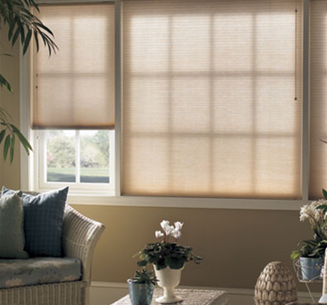 Blinds Style Group